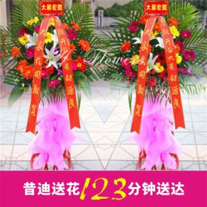 开业花篮B款（一对共2个）