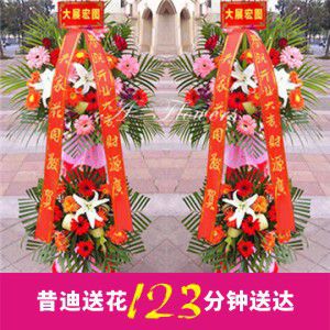 开业花篮C款（一对共2个）