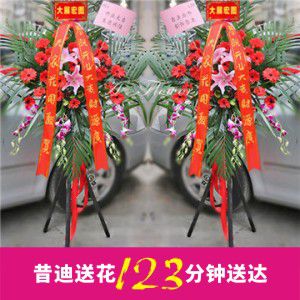 开业花篮D款（一对共2个）