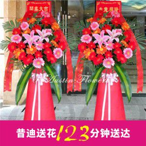 开业花篮H9（一对共2个）